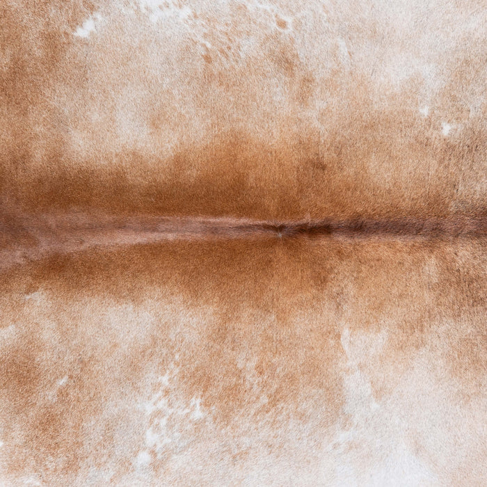 Brazilian Grey Palomino Cowhide Rug Size 7'8" L x 7'4" W 6892