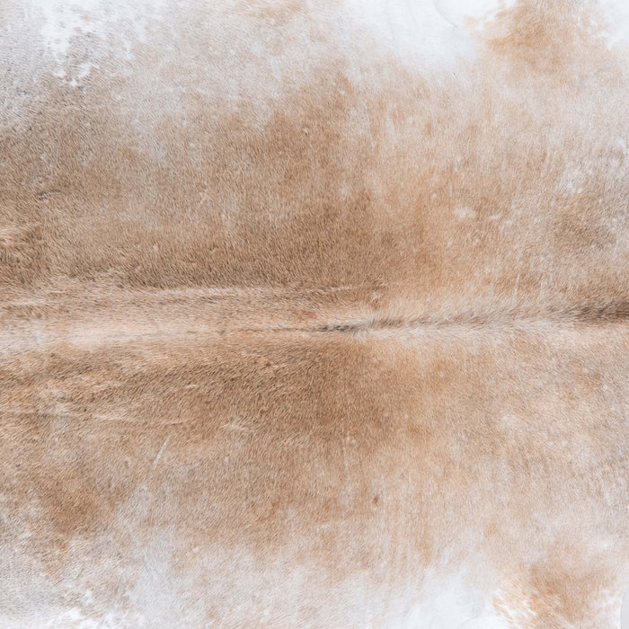 Brazilian Grey Palomino Cowhide Rug Size 7'7" L x 7'1" W 6895