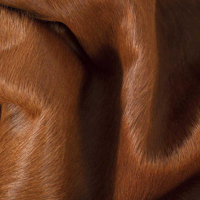 Dark Brown Brazilian Cowhide Rug, Natural Suede Leather | eCowhides