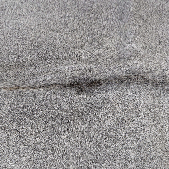 Close-up of gray fur texture
