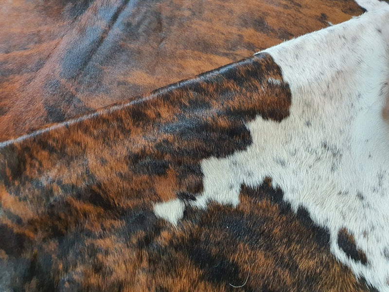 Brindle White Belly Brazilian Cowhide Rug: Xl , Natural Suede Leather | eCowhides