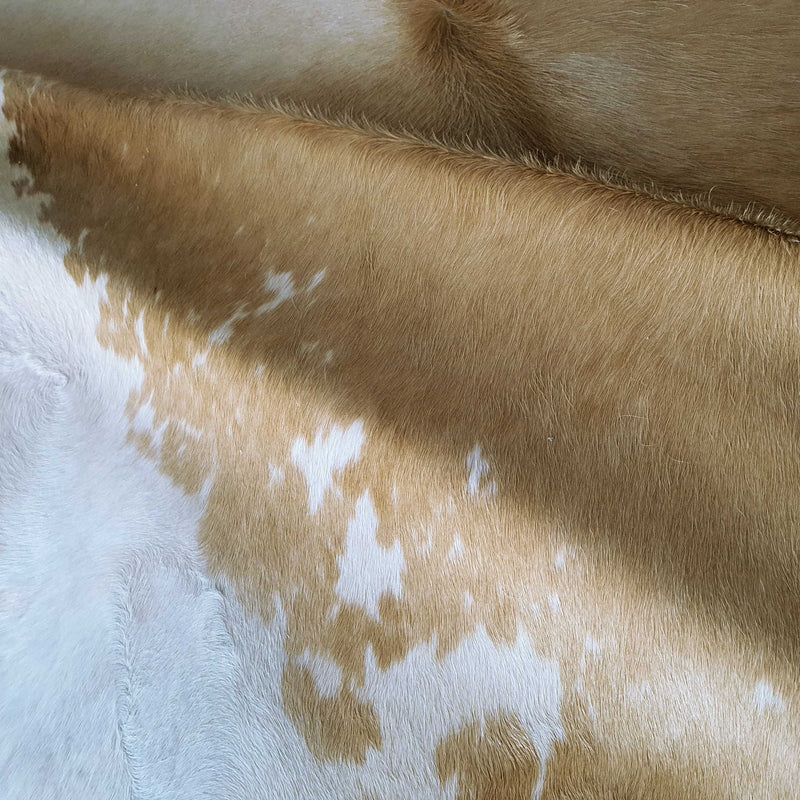 Palomino And White Brazilian Cowhide Rug: Xl , Natural Suede Leather | eCowhides