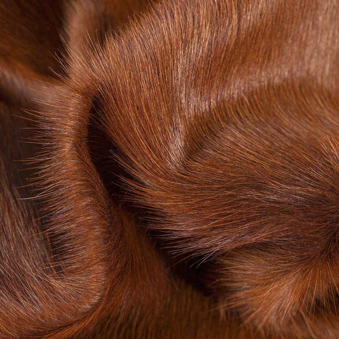 Dark Brown Brazilian Cowhide Rug: Large , Natural Suede Leather | eCowhides