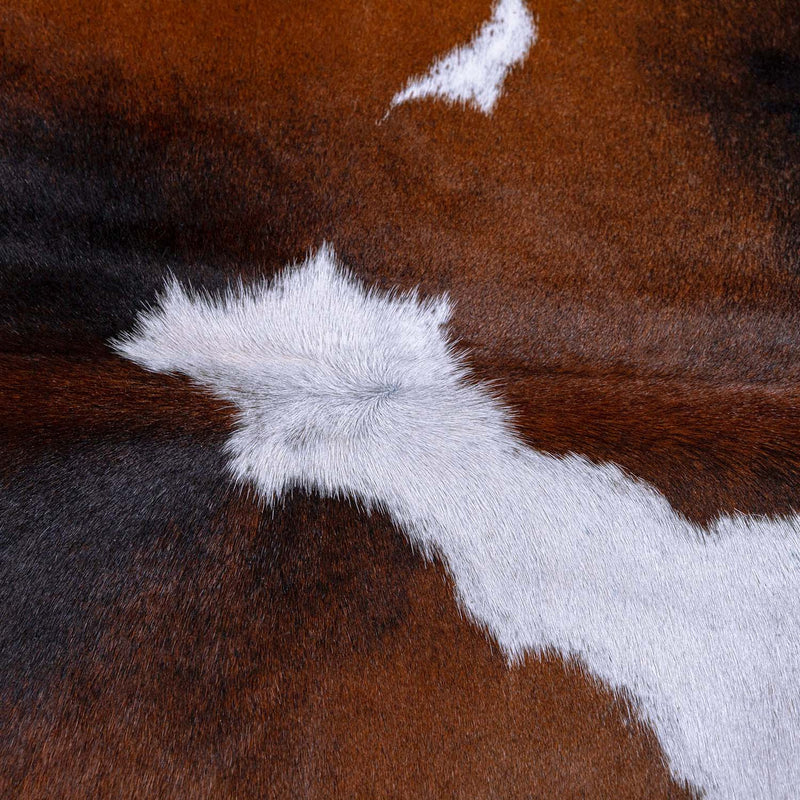 Chocolate And White Brazilian Cowhide Rug: Large , Natural Suede Leather | eCowhides