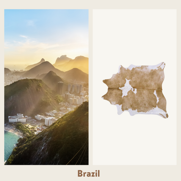 Brazilian and Colombian cowhide rugs
