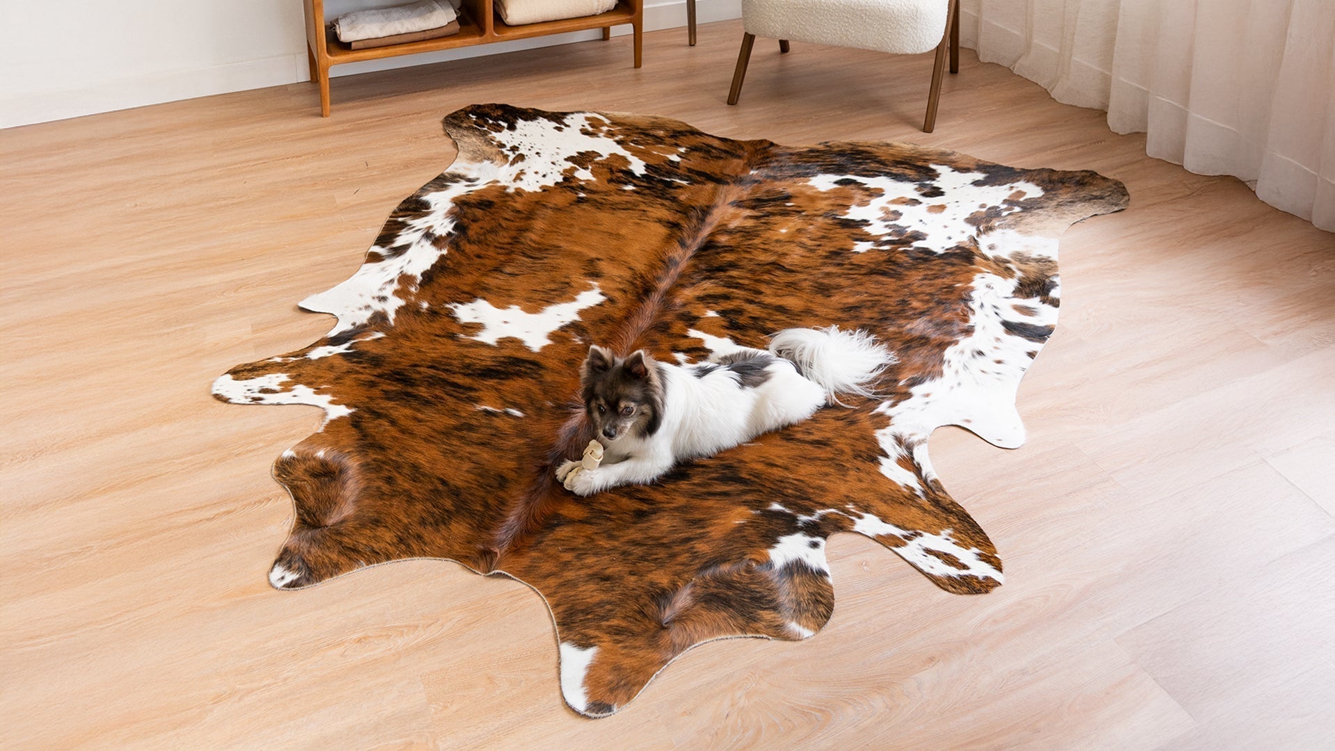 A small, fluffy dog with a bone toy lying on a Tricolor Cowhide Rug in a bright, modern room.