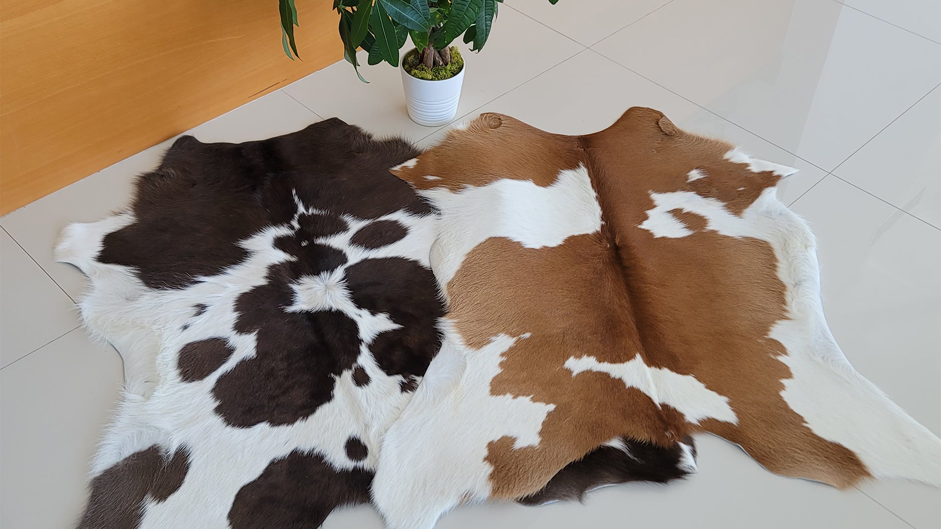 Layering Calf Hides