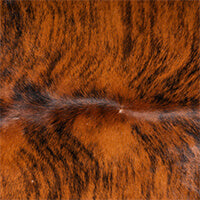 Brindle Cowhide Rug Collection from eCowhides