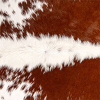 Brown and White Cowhide Rug Collection from eCowhides