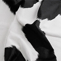 Black and White Cowhide Collection Image