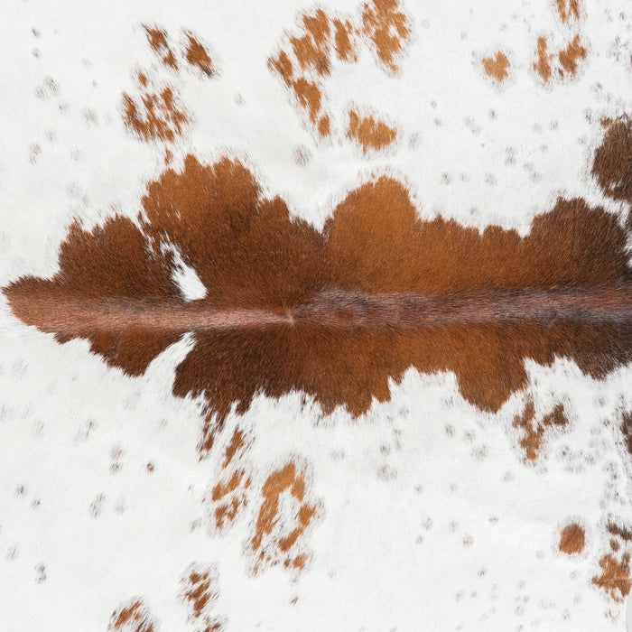 Brazilian Chocolate and White Cowhide Rug Size 5'11" L x 5'8" W 1001
