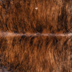 files/1021_b_1e729624-cdc4-43e7-939e-232907298f5e.jpg
