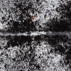 files/1023_b_39e27f52-c8f9-457c-8ef2-19d7ee288262.jpg