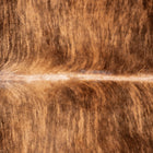 files/1041_b_6d9c857c-99e0-4478-9a96-42538d63a8b7.jpg
