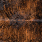 files/1049_b_ffc505e4-1dfa-48cb-81fd-31702d0fd4d4.jpg