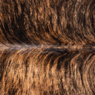 files/1053_b_2accd989-3cbc-4046-88cf-7111a47635e8.jpg