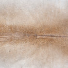 files/1069_b_af5b0b07-d083-407d-ba3f-e54cc68e0770.jpg