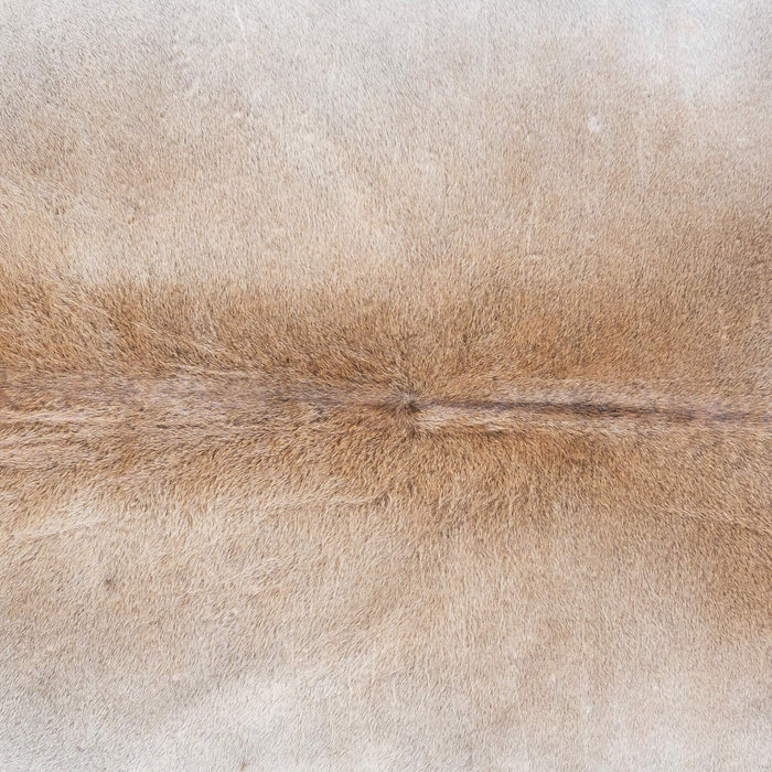 Brazilian Grey Palomino Cowhide Rug Size 7'10" L x 7'9" W 1069