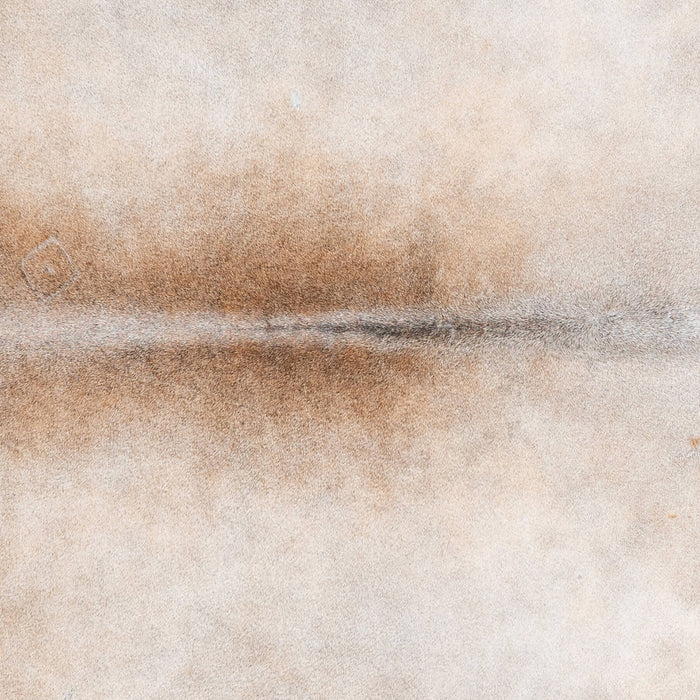 Brazilian Grey Palomino Cowhide Rug Size 7'8" L x 7'6" W 1073