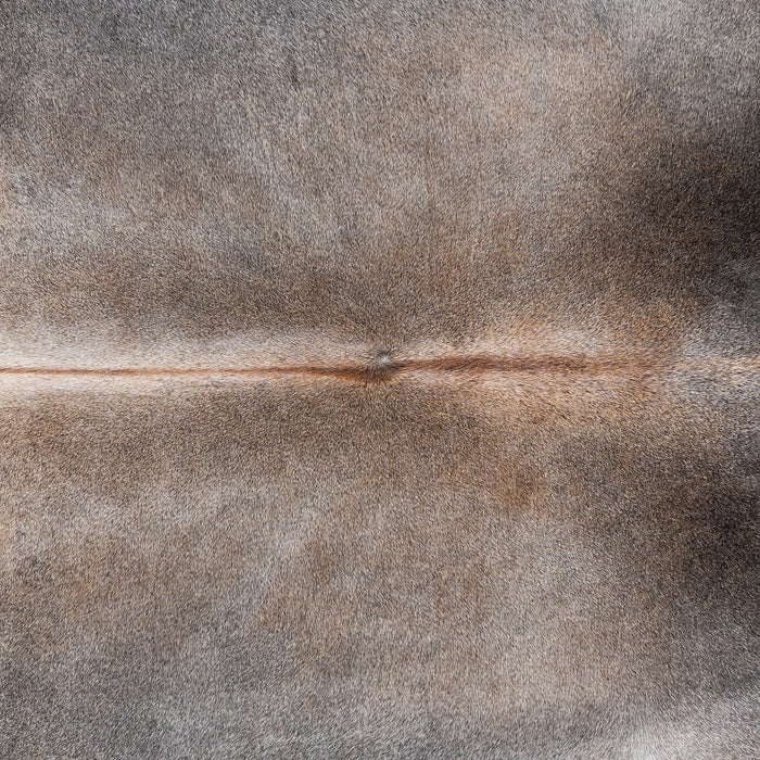 Brazilian Grey Palomino Cowhide Rug Size 8'4" L x 7'6" W 1105