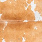 files/1134_a_f94469d0-b94d-47e4-a326-5c0b00fb4f39.jpg