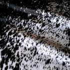 files/118_4_fae4c39f-29f1-4ab2-b952-b88a338fc3ae.jpg