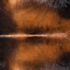 files/1206_a_04eb0912-1991-4eda-929c-91166e75c786.jpg