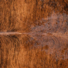 files/1216_a_d0150490-3dbf-4f71-b052-6238c3cdcaec.jpg