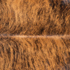 files/1218_a_526648bf-bf4f-40cc-bd2b-66c511aaef54.jpg