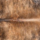 files/1224_a_6e48710a-6e16-4df1-ba5b-01f60d34ac8e.jpg
