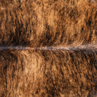 files/1242_a_4c8e06ad-ae19-4dfa-b851-5b86792c689c.jpg