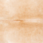 files/1256_a_2cd429ca-53e5-47f7-b5eb-252cd5f06a4e.jpg