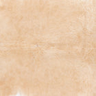 files/1259_a_f508ef9d-668f-4b4a-bb31-6baf7c523ce3.jpg