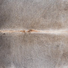 files/1295_a_17962991-7390-43b1-bd90-884ed23888a5.jpg