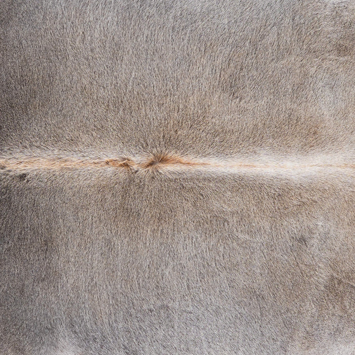 Brazilian Grey Palomino Cowhide Rug Size 6'3" L x 5'10" W 1295