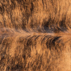files/1334_a_0127a63a-e79b-4310-9ae6-378e61d01e38.jpg