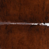 Brazilian Brindle White Belly and Backbone Cowhide Rug Size 7'4" L x 6'10" W 1375