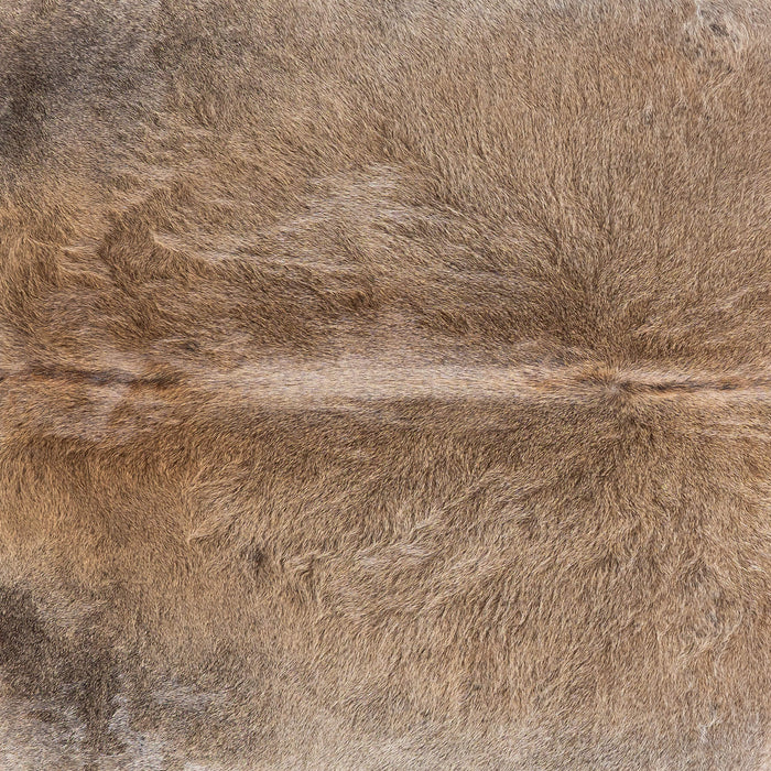 Grey Palomino Cowhide Rug Size 7'4" L x 6'7" W 1382