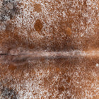 files/1387_a_76a7952c-e5c6-420b-a5c5-fae40c594a99.jpg