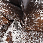 files/1419_b_4a6bf0ab-22c5-4c56-8293-447132f6db8b.jpg