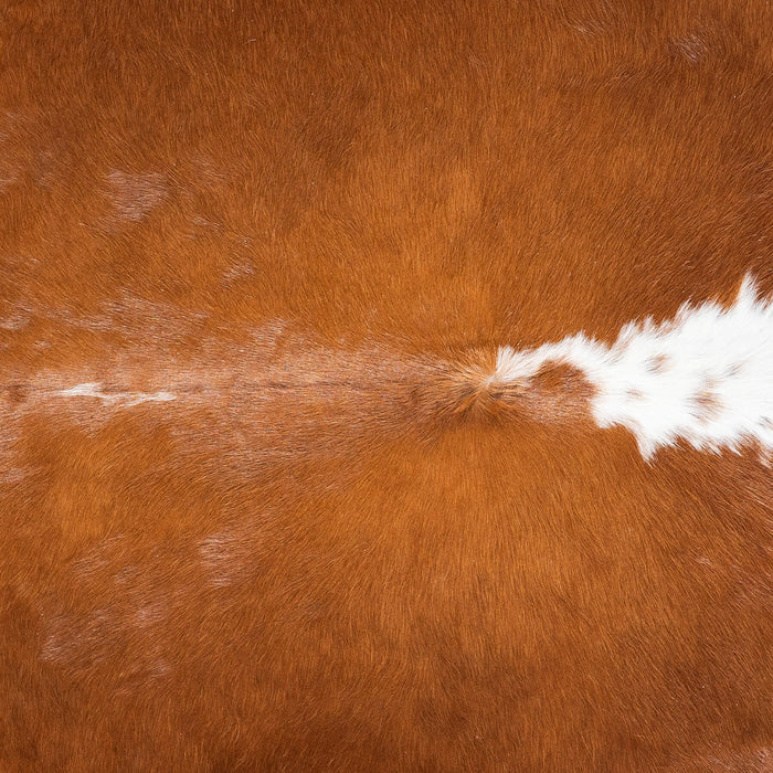 Brazilian Hereford Cowhide Rug Size 7'9" L x 7'6" W 1434