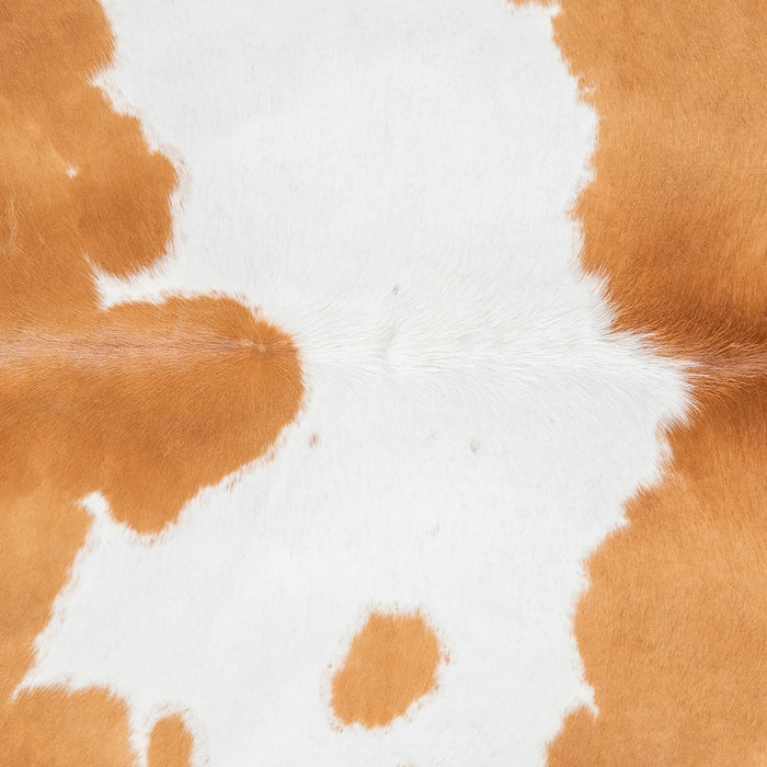 Brazilian Palomino and White Cowhide Rug Size 6'2" L x 5'5" W 1473