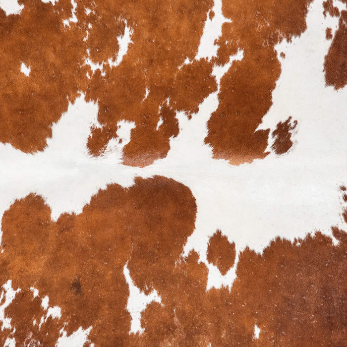 Brazilian Chocolate and White Cowhide Rug Size 6'4" L x 5'5" W 1503