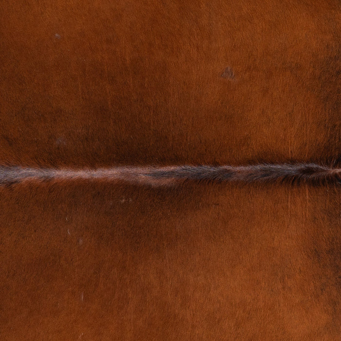Brazilian Chocolate and White Cowhide Rug Size 7'7" L x 7'2" W 1520
