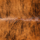files/1526_a_904f7078-43f4-40af-8c94-75b055f364fb.jpg