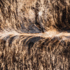 files/1530_a_0500c39e-ba64-422f-922e-29f39037fbc5.jpg