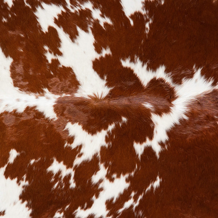 Brazilian Brown and White Cowhide Rug Size 7'6" L x 6'3" W 1537