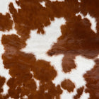 files/1544_a_1e63b27c-1de1-49c2-8b38-44499e768c34.jpg