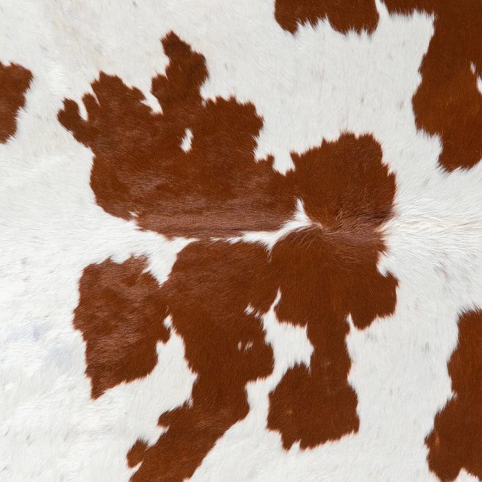Brazilian Brown and White Cowhide Rug Size 7'10" L x 7'2" W 1546