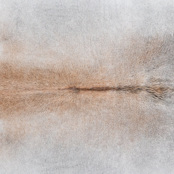 Brazilian Grey Palomino Cowhide Rug Size 7'4" L x 7'4" W 6117